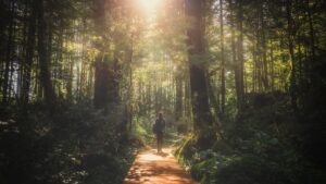 This new travel trend combines wellness with wildlife